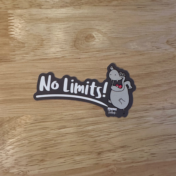 No Limits! Decal