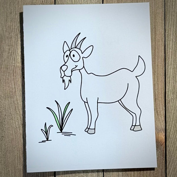 Thank You Cards
