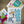 3 Pack Trent's Coloring Books