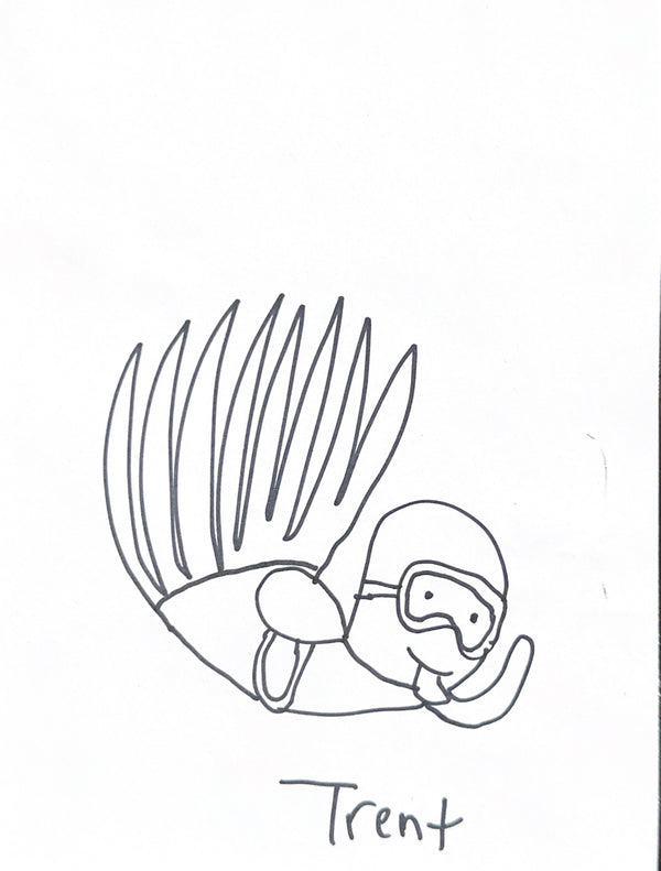 Request Drawings