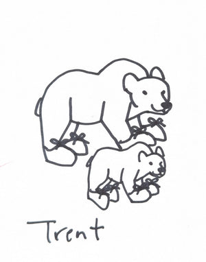 Request Drawings