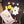 Boo! Bundle 2025