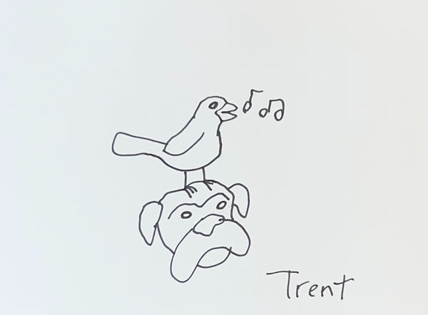 Request Drawings