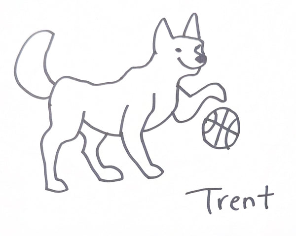 Request Drawings