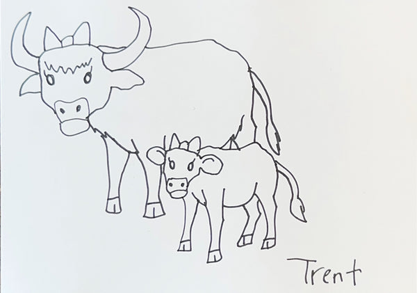 Request Drawings