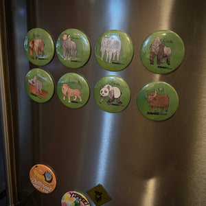 Animal Alphabet Magnets