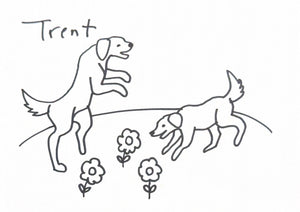 Request Drawings