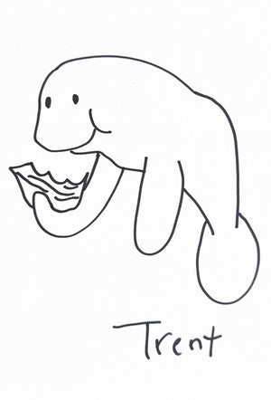 Request Drawings