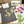 Youth Birthday Box