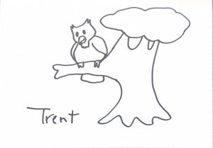 Request Drawings