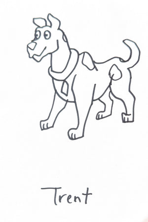 Request Drawings