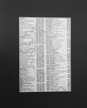 Rooster on White Pages