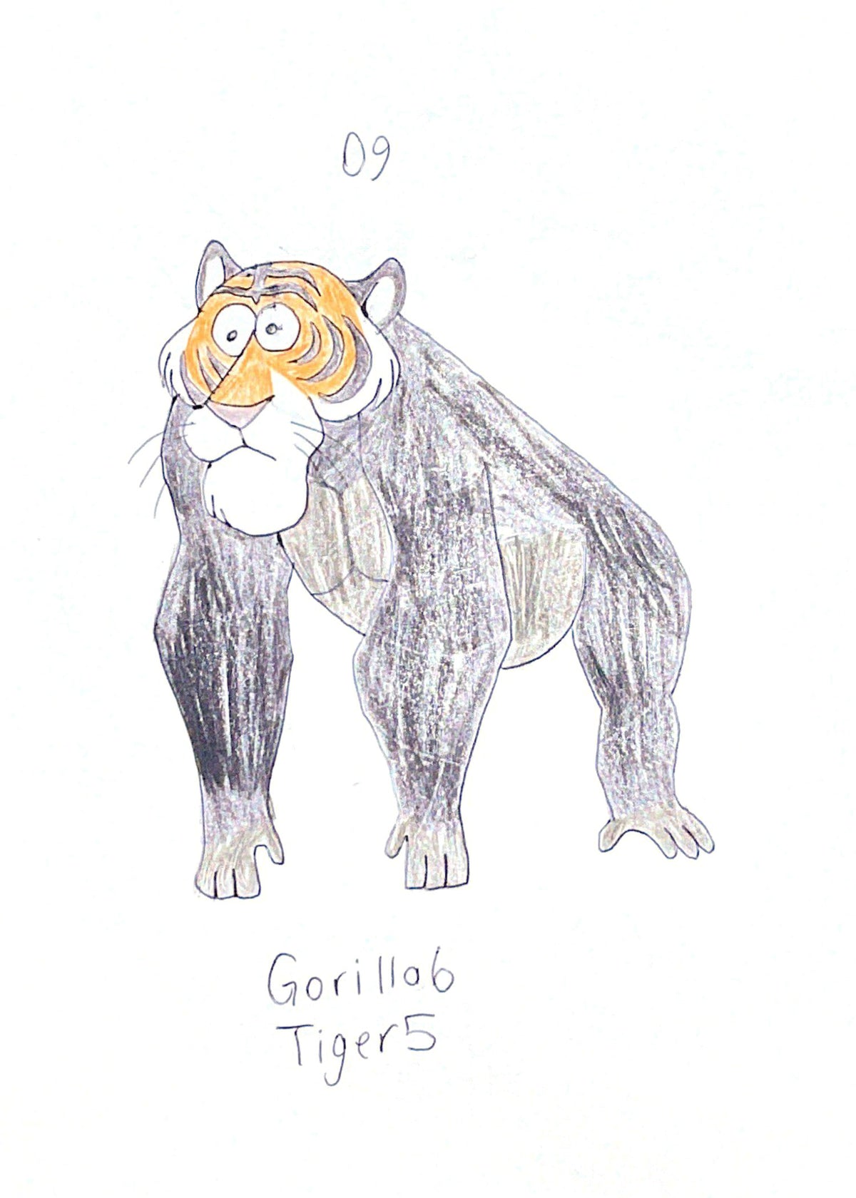Gorilla Tiger 09